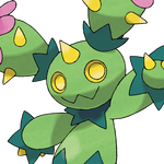 Maractus